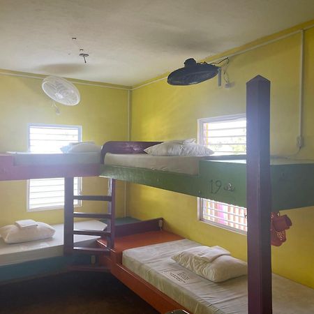 بيت شباب Travellers Palm Backpackers كاي كولكر المظهر الخارجي الصورة