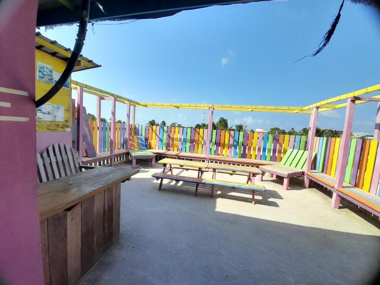 بيت شباب Travellers Palm Backpackers كاي كولكر المظهر الخارجي الصورة