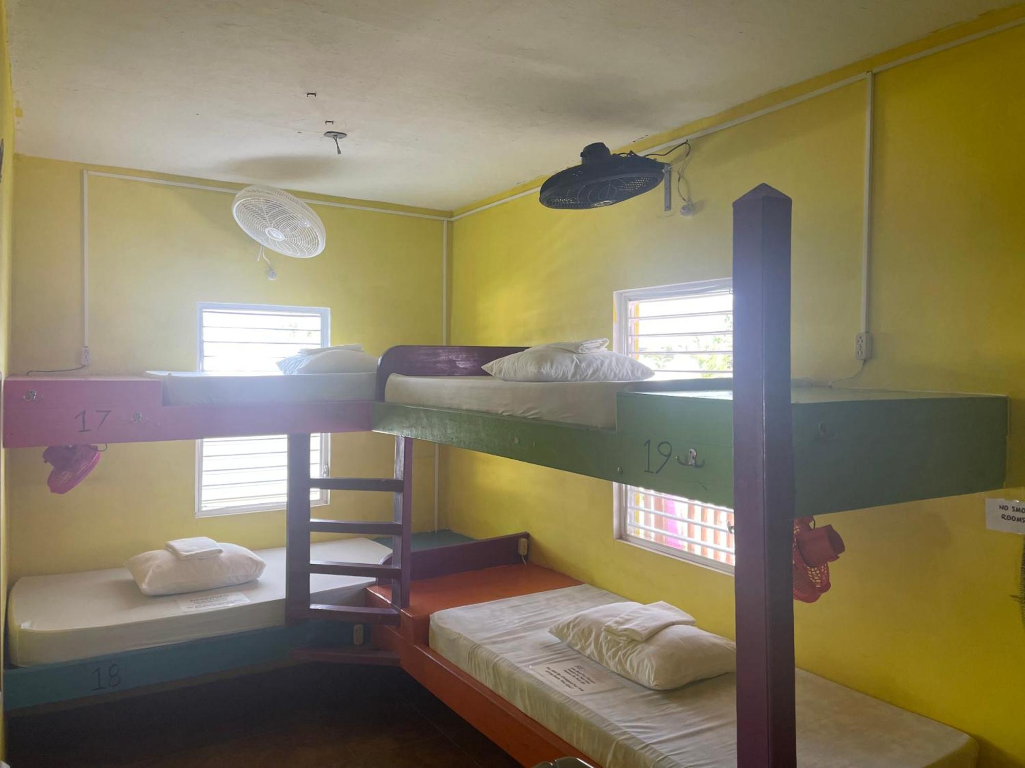 بيت شباب Travellers Palm Backpackers كاي كولكر المظهر الخارجي الصورة
