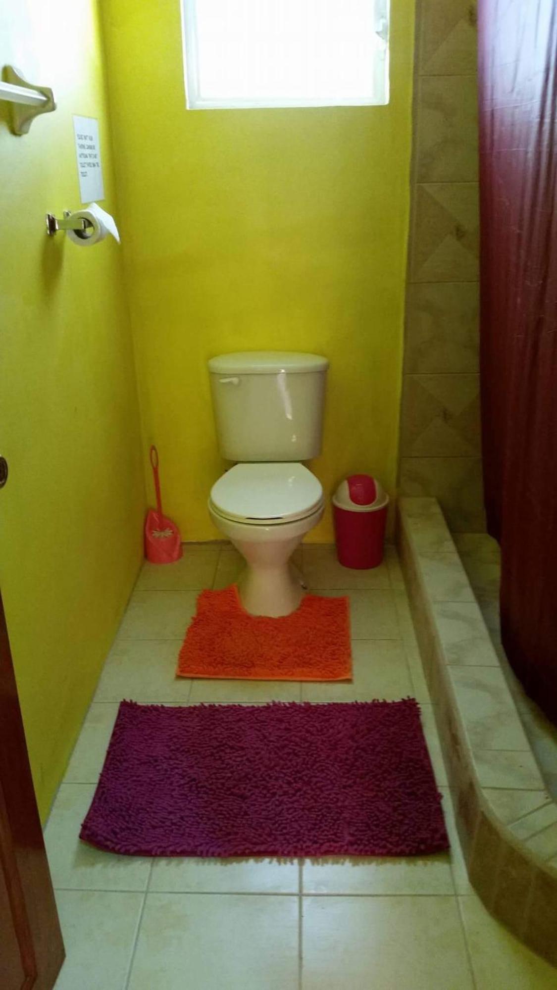 بيت شباب Travellers Palm Backpackers كاي كولكر المظهر الخارجي الصورة