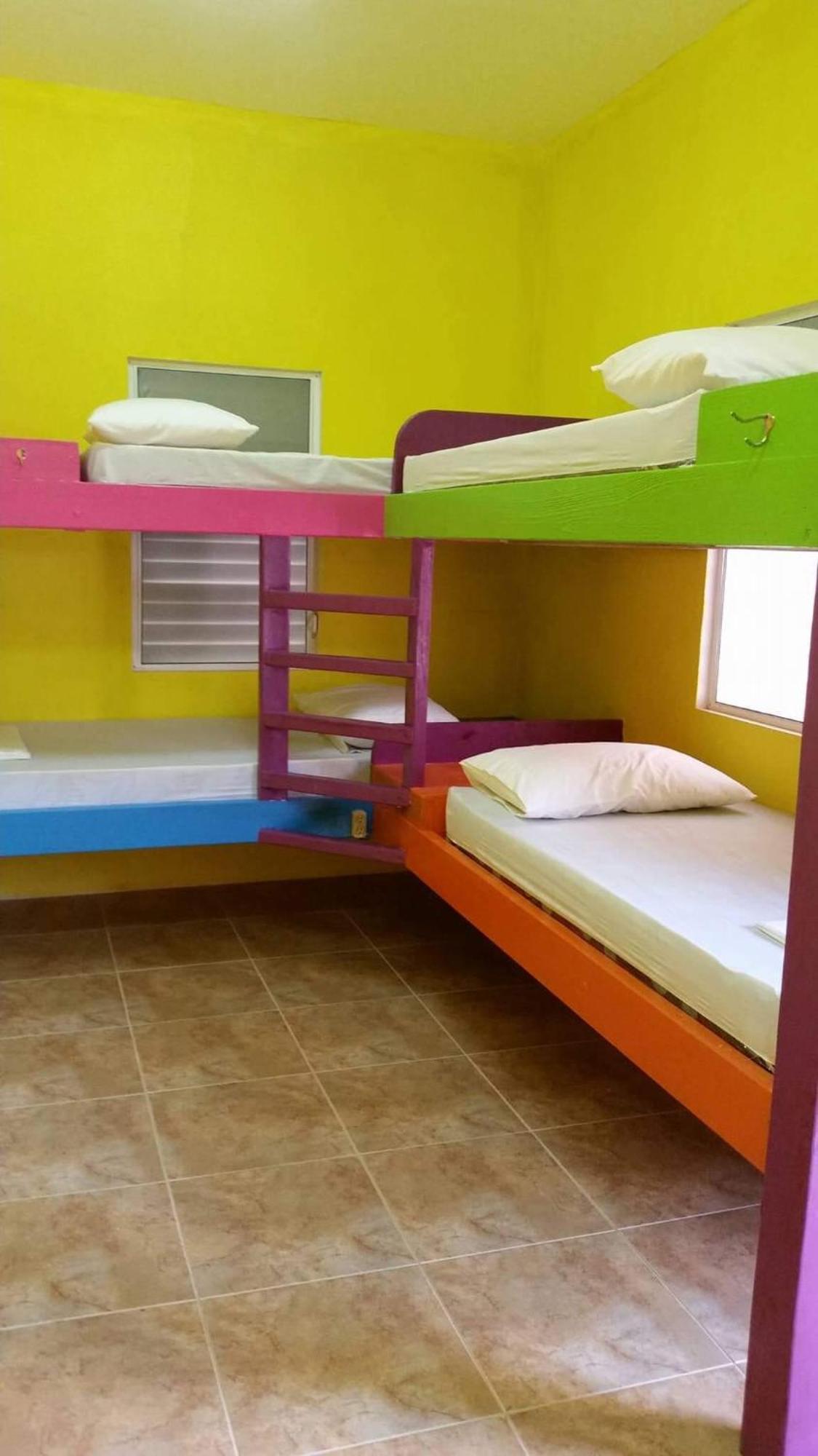 بيت شباب Travellers Palm Backpackers كاي كولكر المظهر الخارجي الصورة