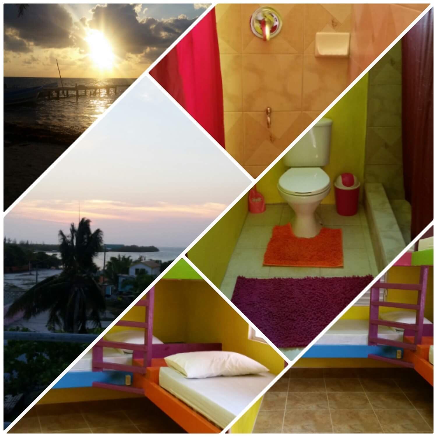 بيت شباب Travellers Palm Backpackers كاي كولكر المظهر الخارجي الصورة