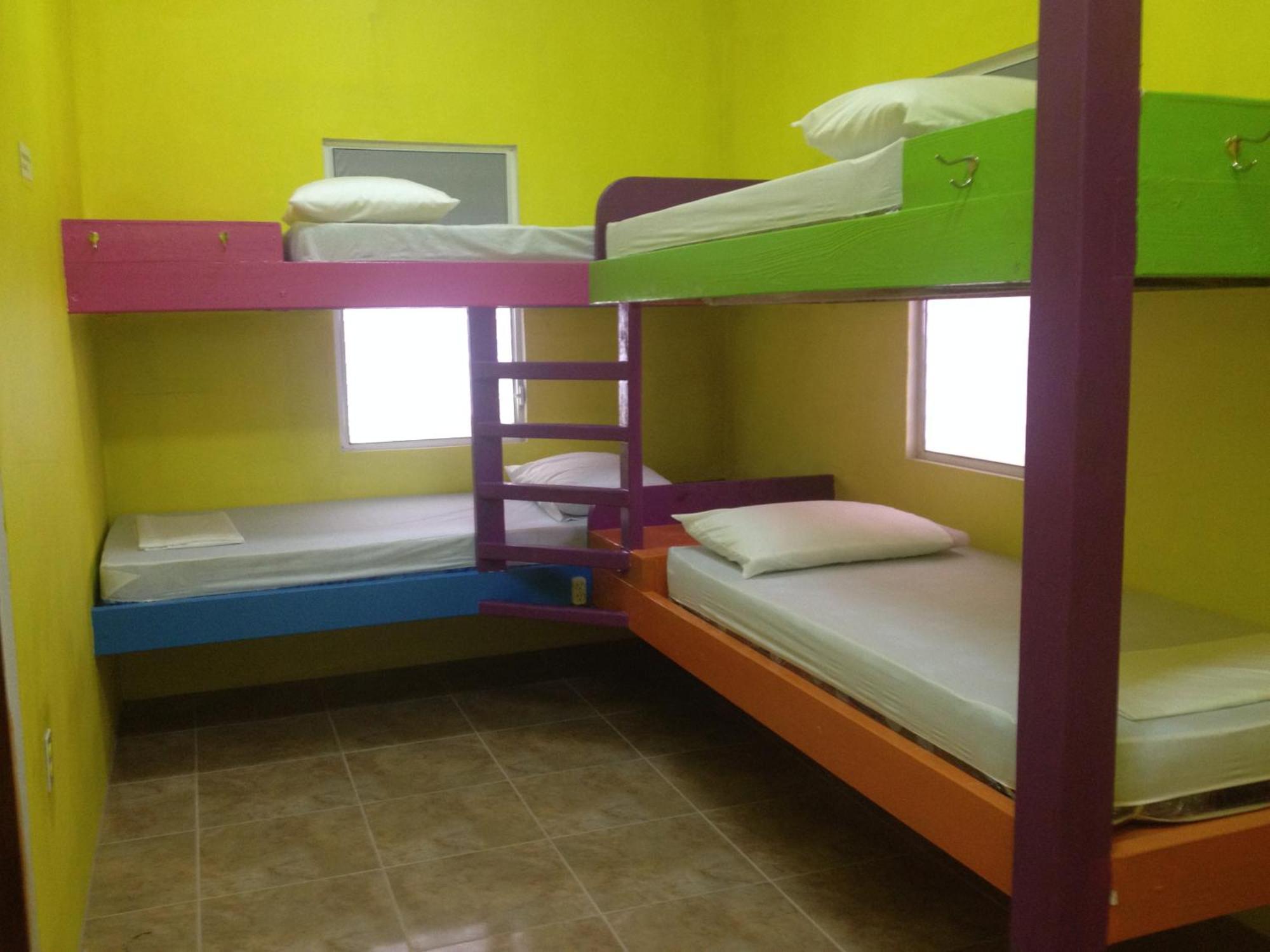 بيت شباب Travellers Palm Backpackers كاي كولكر المظهر الخارجي الصورة