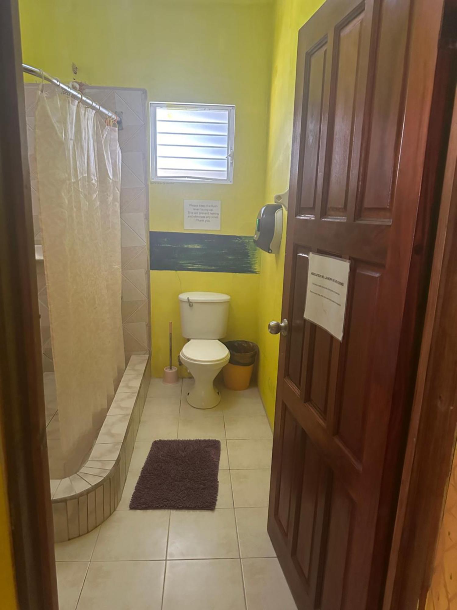 بيت شباب Travellers Palm Backpackers كاي كولكر المظهر الخارجي الصورة