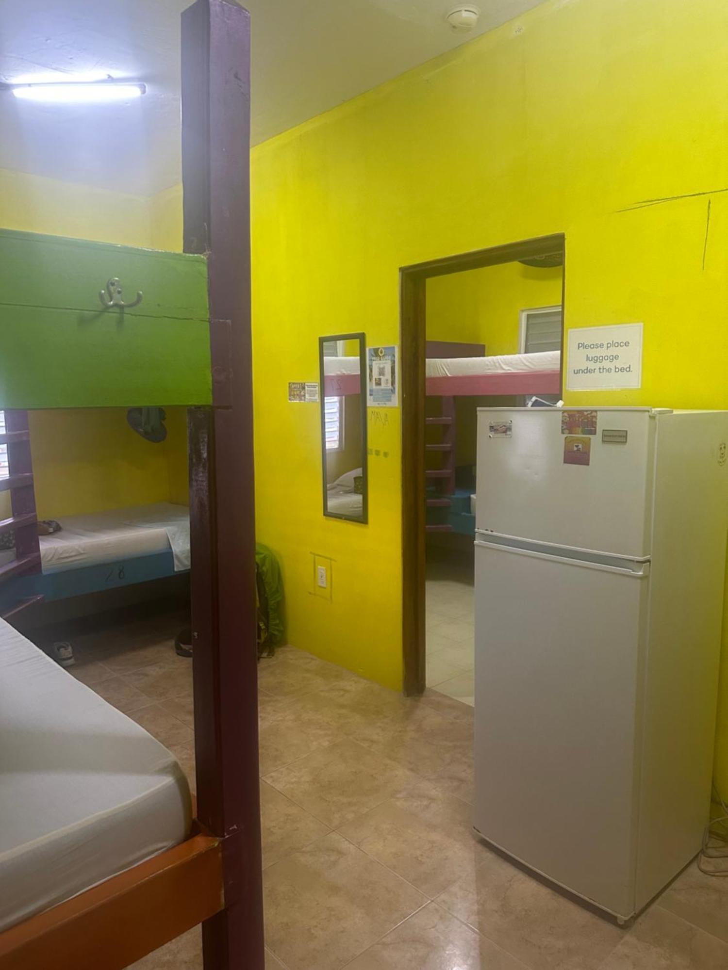 بيت شباب Travellers Palm Backpackers كاي كولكر المظهر الخارجي الصورة