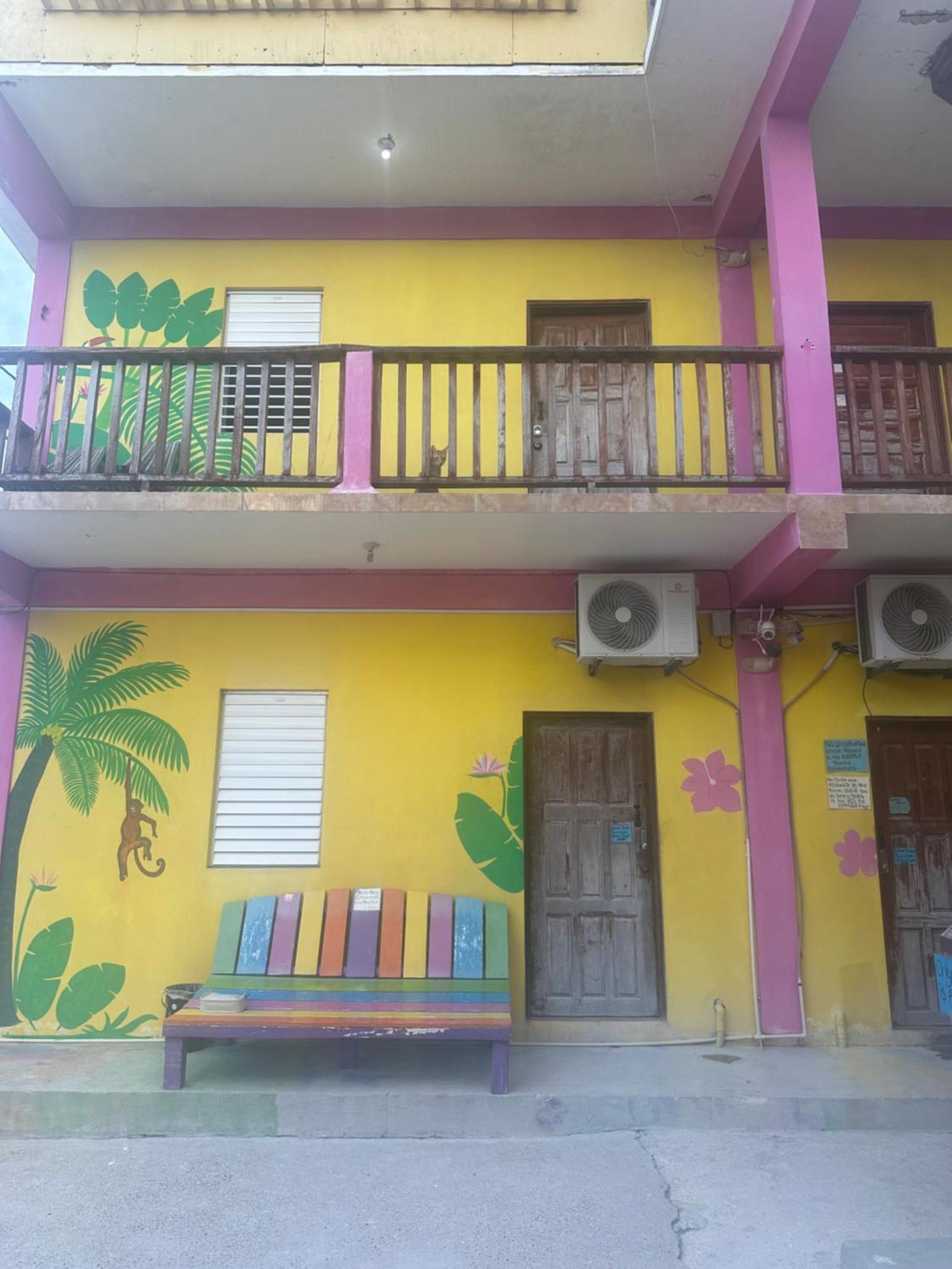 بيت شباب Travellers Palm Backpackers كاي كولكر المظهر الخارجي الصورة