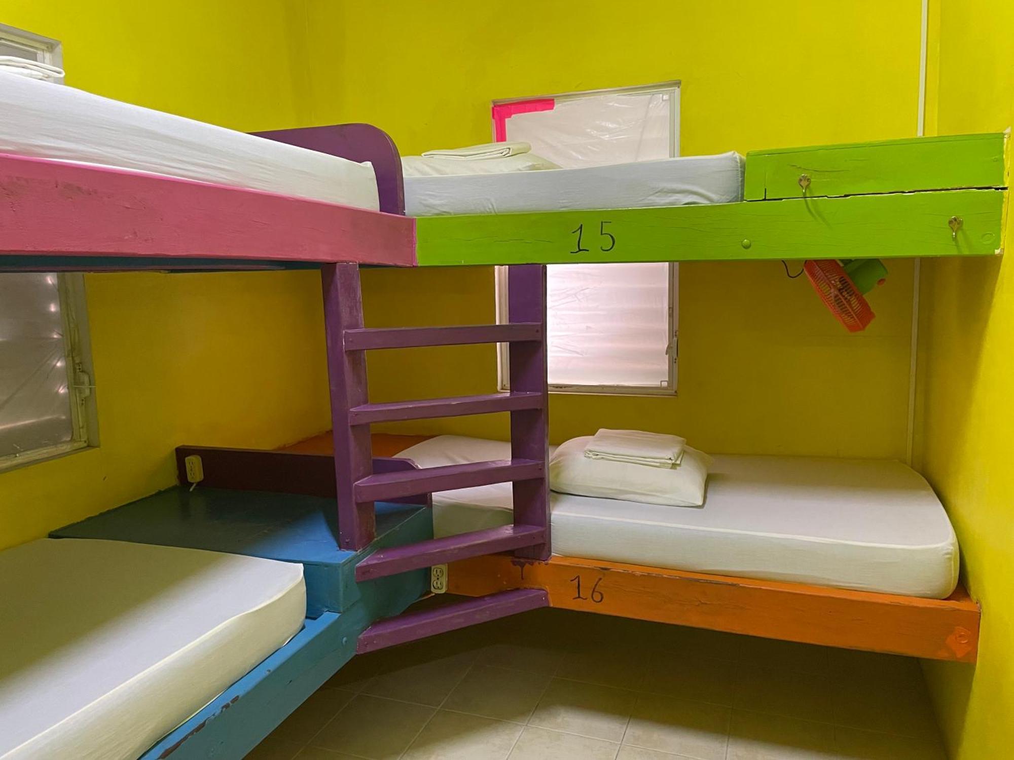 بيت شباب Travellers Palm Backpackers كاي كولكر المظهر الخارجي الصورة