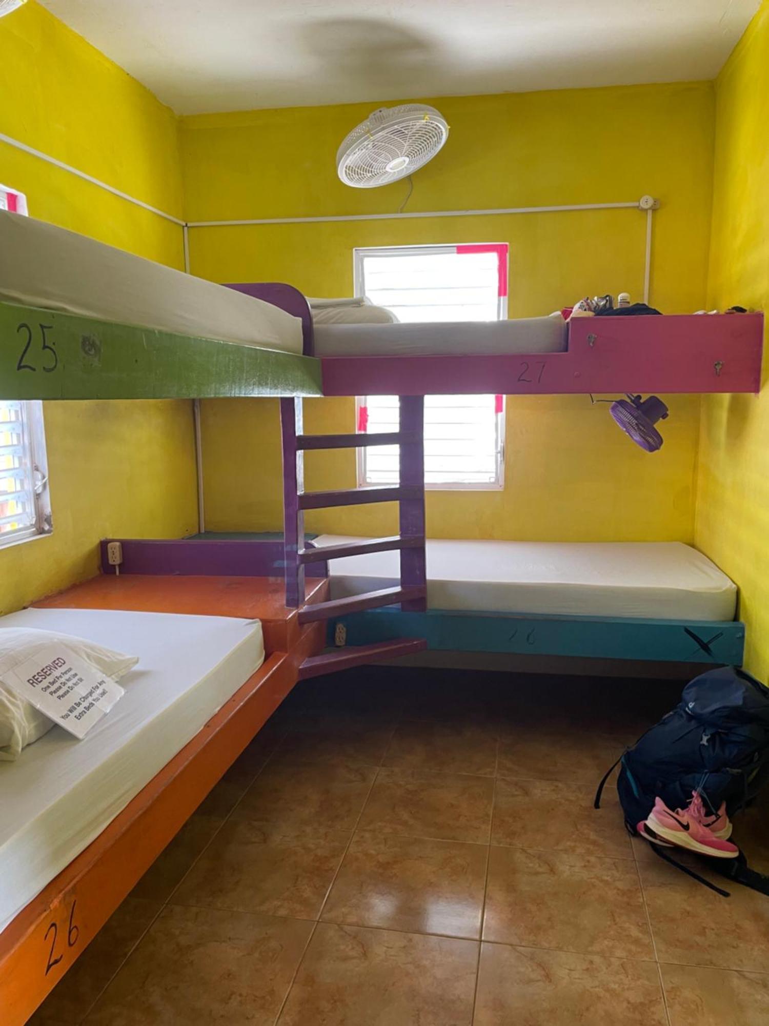 بيت شباب Travellers Palm Backpackers كاي كولكر المظهر الخارجي الصورة