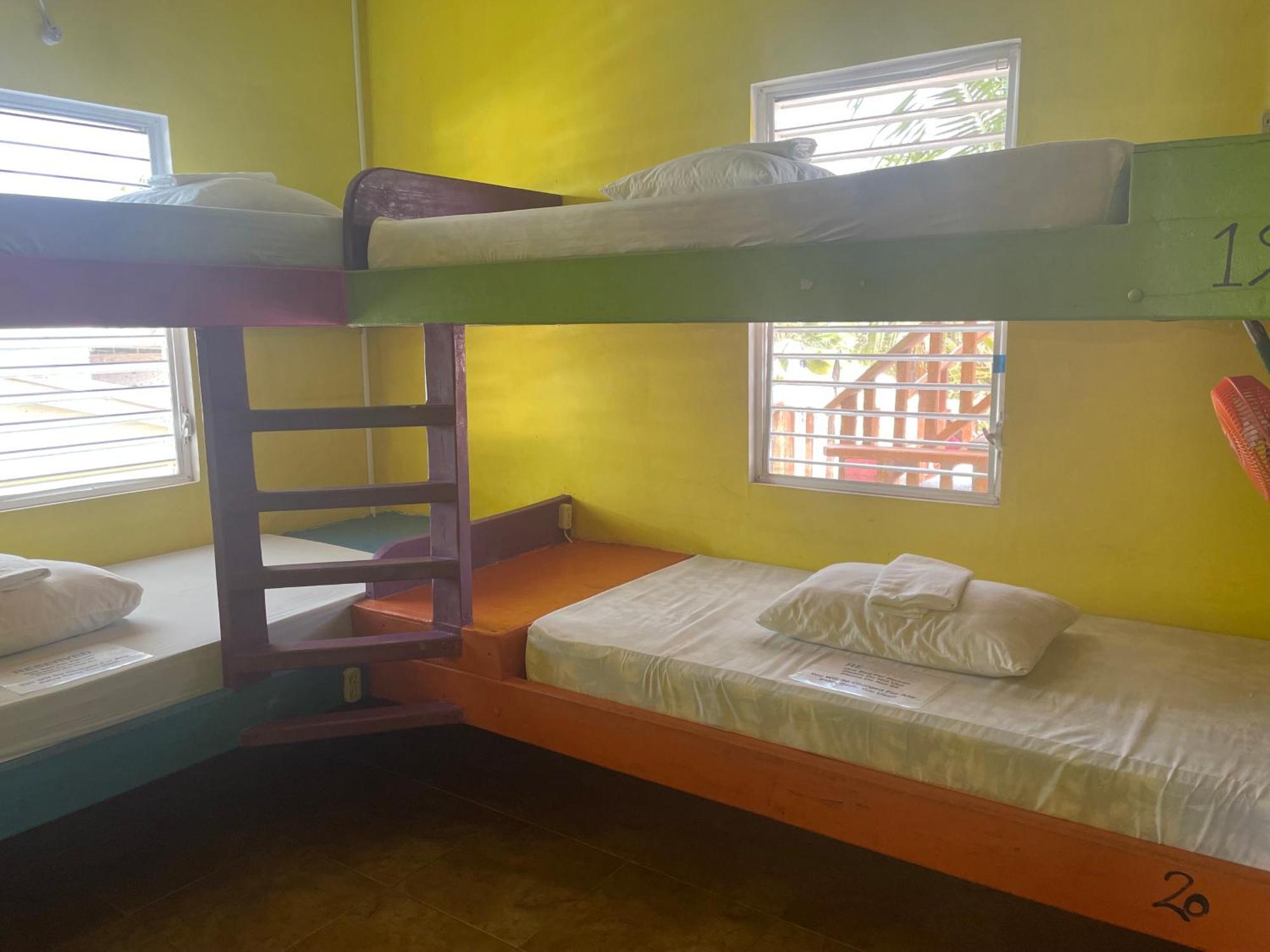 بيت شباب Travellers Palm Backpackers كاي كولكر المظهر الخارجي الصورة