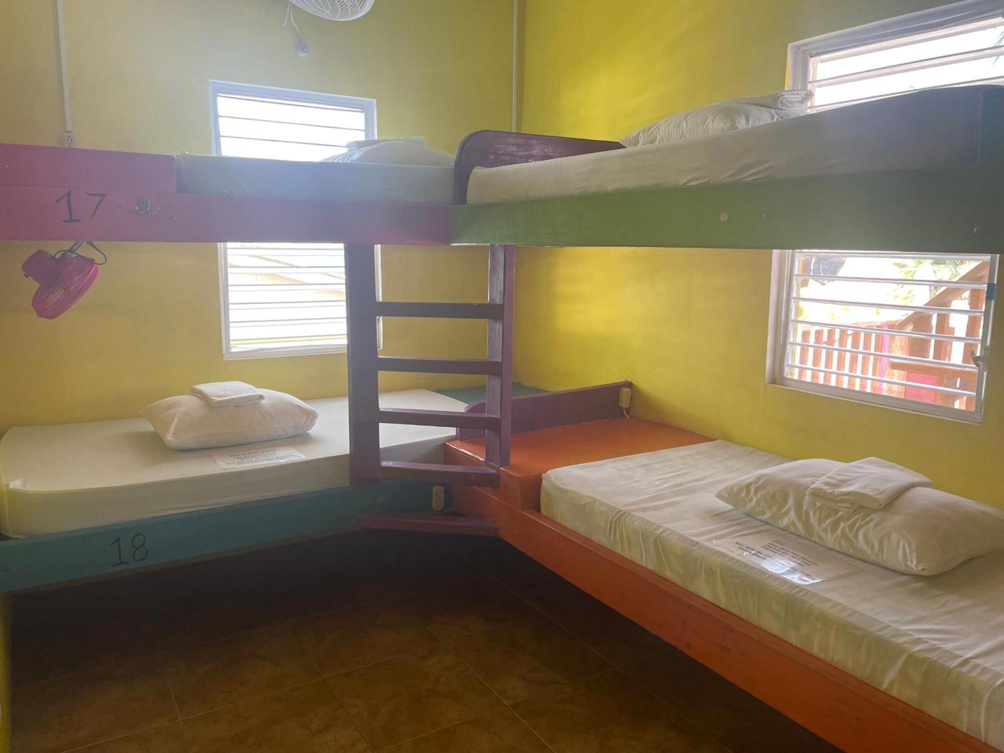 بيت شباب Travellers Palm Backpackers كاي كولكر المظهر الخارجي الصورة