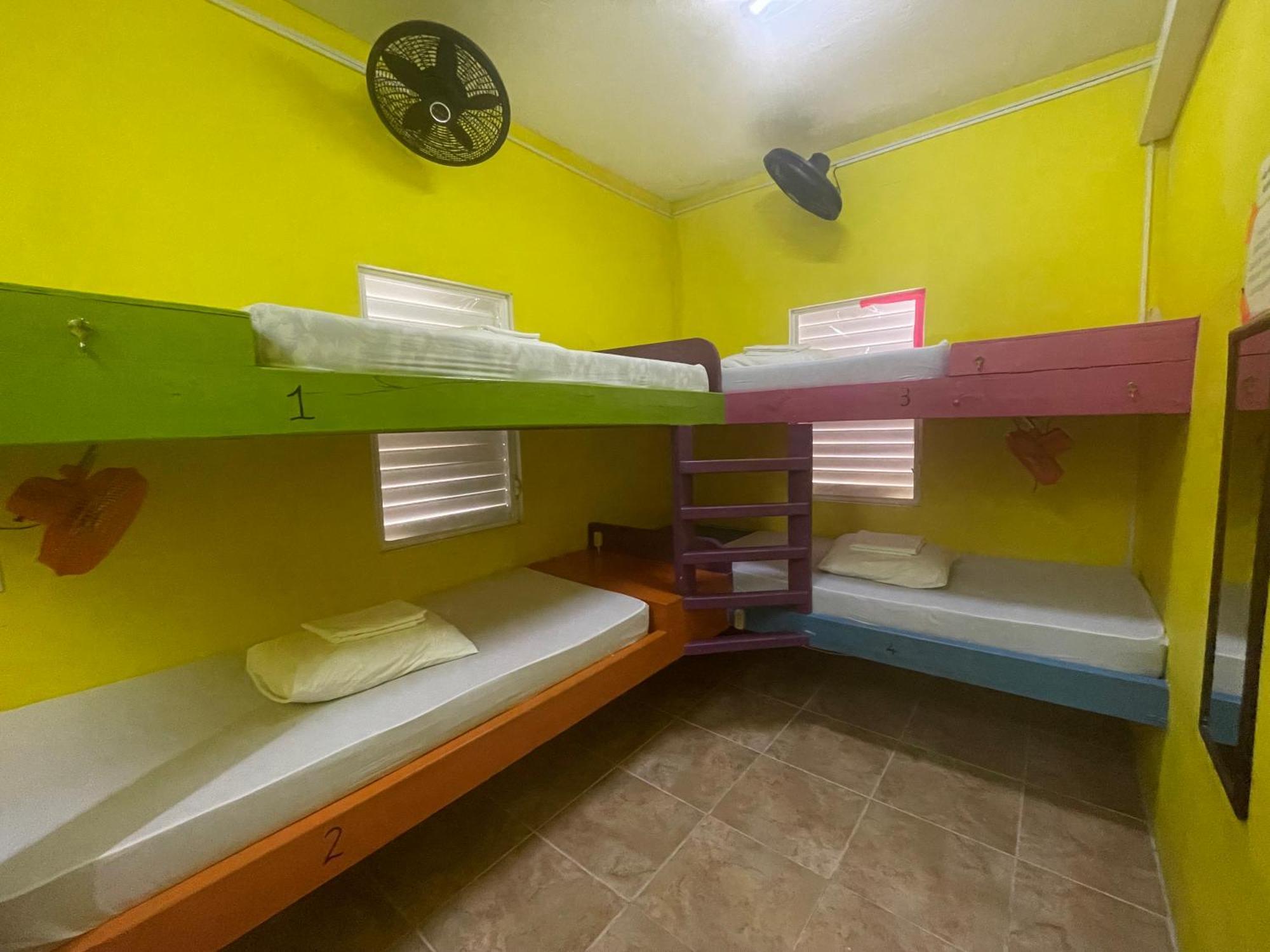 بيت شباب Travellers Palm Backpackers كاي كولكر المظهر الخارجي الصورة
