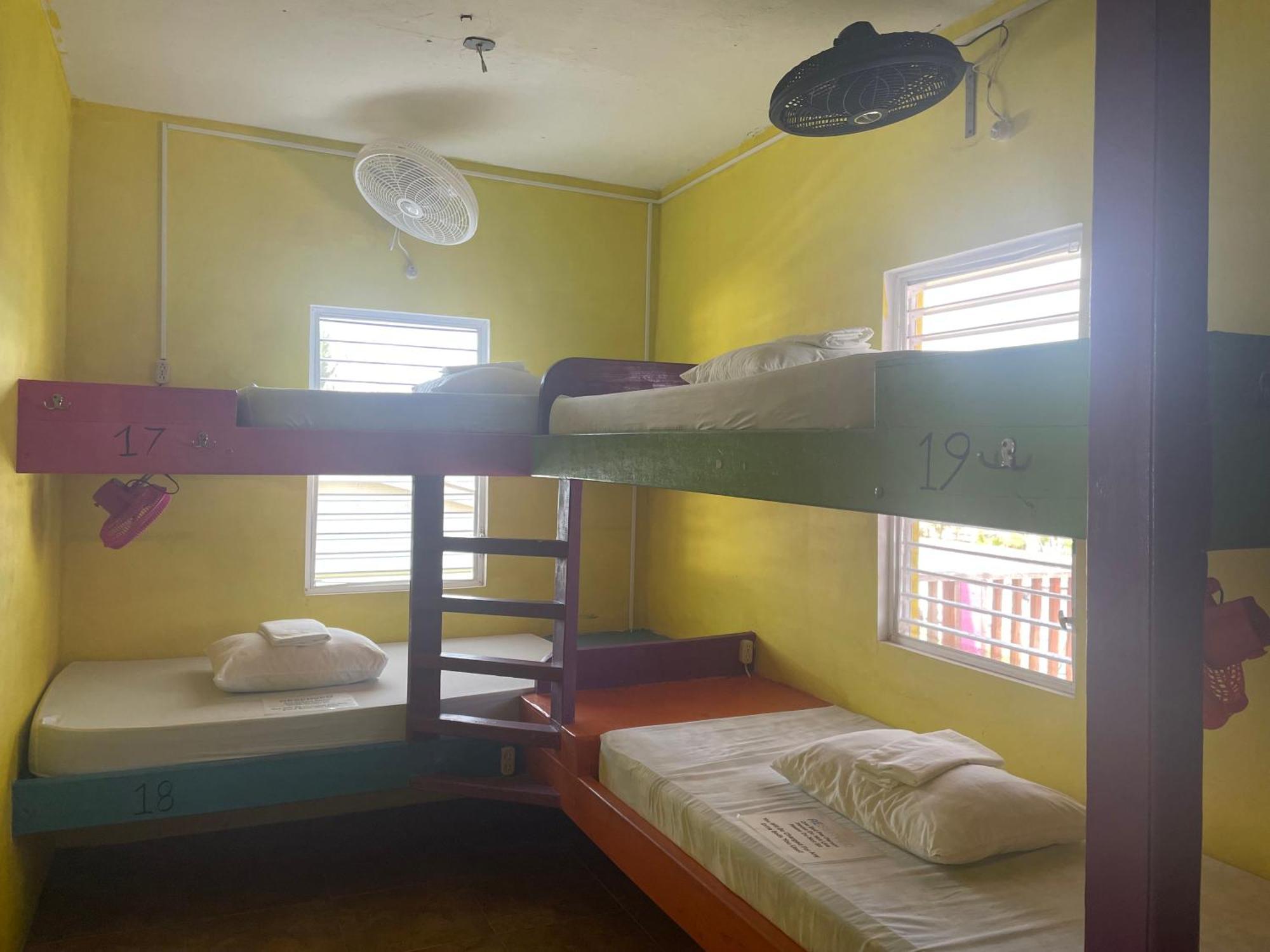 بيت شباب Travellers Palm Backpackers كاي كولكر المظهر الخارجي الصورة