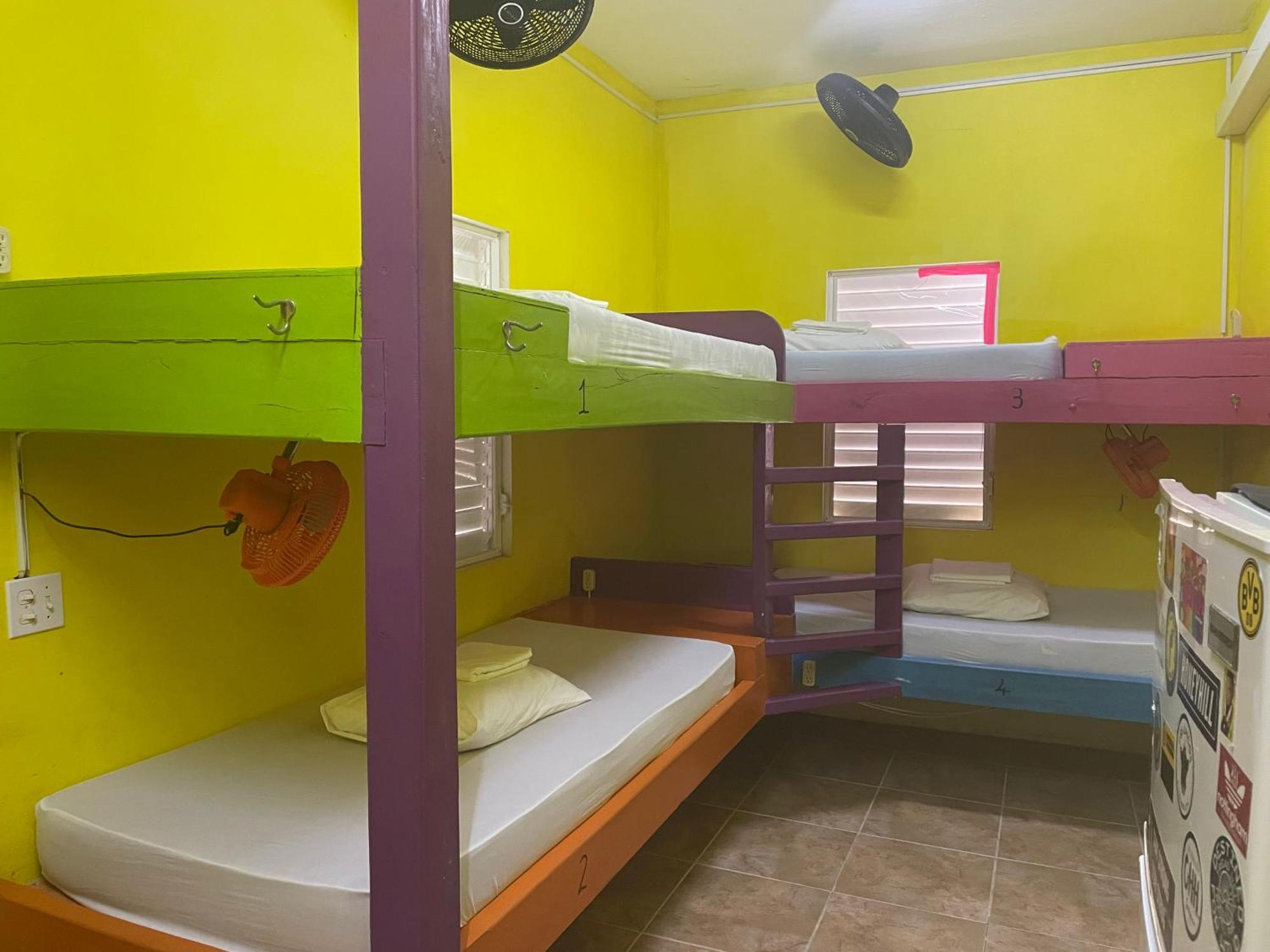 بيت شباب Travellers Palm Backpackers كاي كولكر المظهر الخارجي الصورة