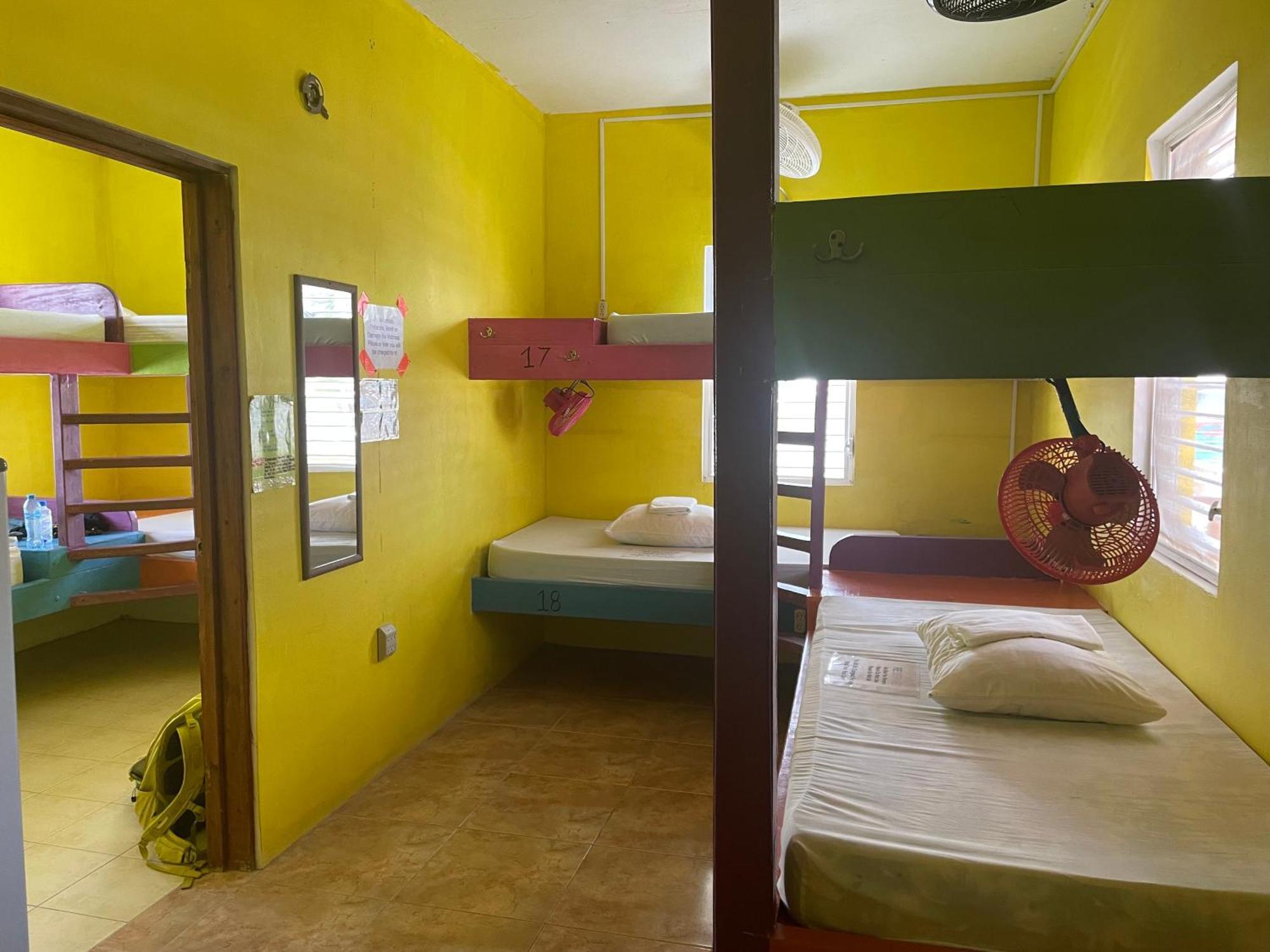 بيت شباب Travellers Palm Backpackers كاي كولكر المظهر الخارجي الصورة