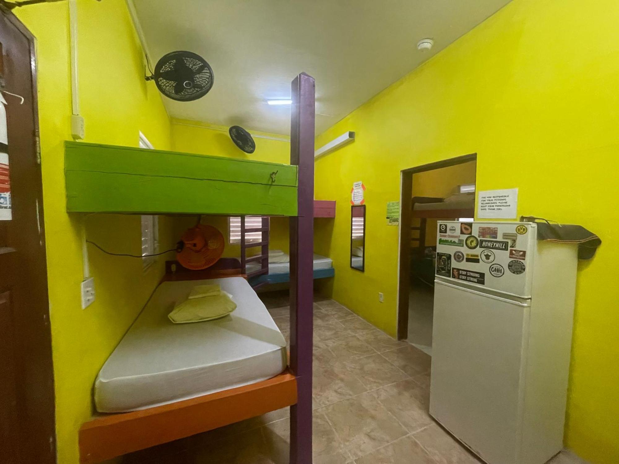 بيت شباب Travellers Palm Backpackers كاي كولكر المظهر الخارجي الصورة