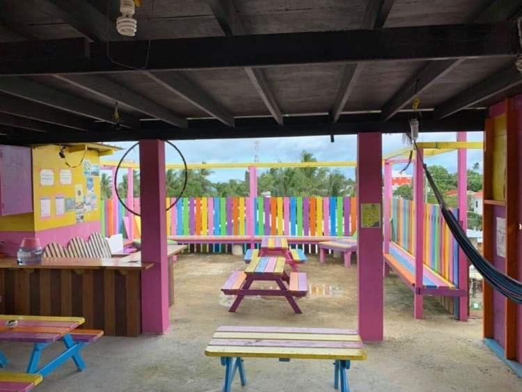 بيت شباب Travellers Palm Backpackers كاي كولكر المظهر الخارجي الصورة
